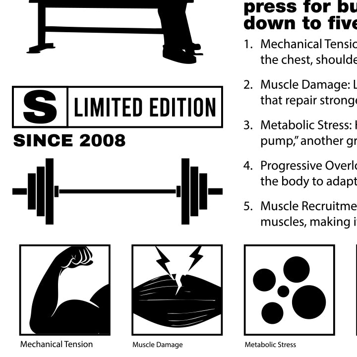Bench Press (Sport)