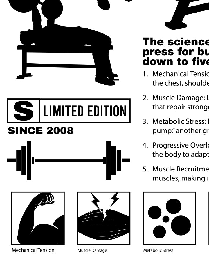 Bench Press (Sport)