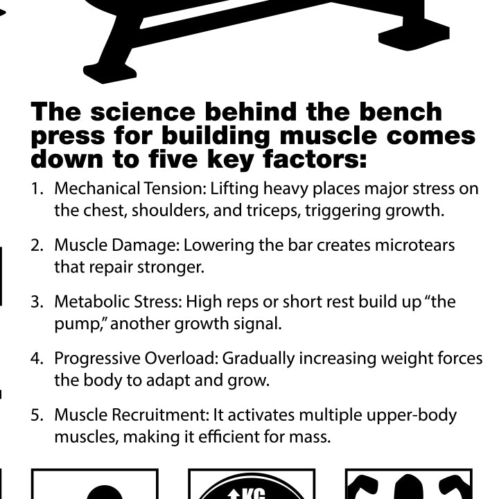 Bench Press (Sport)