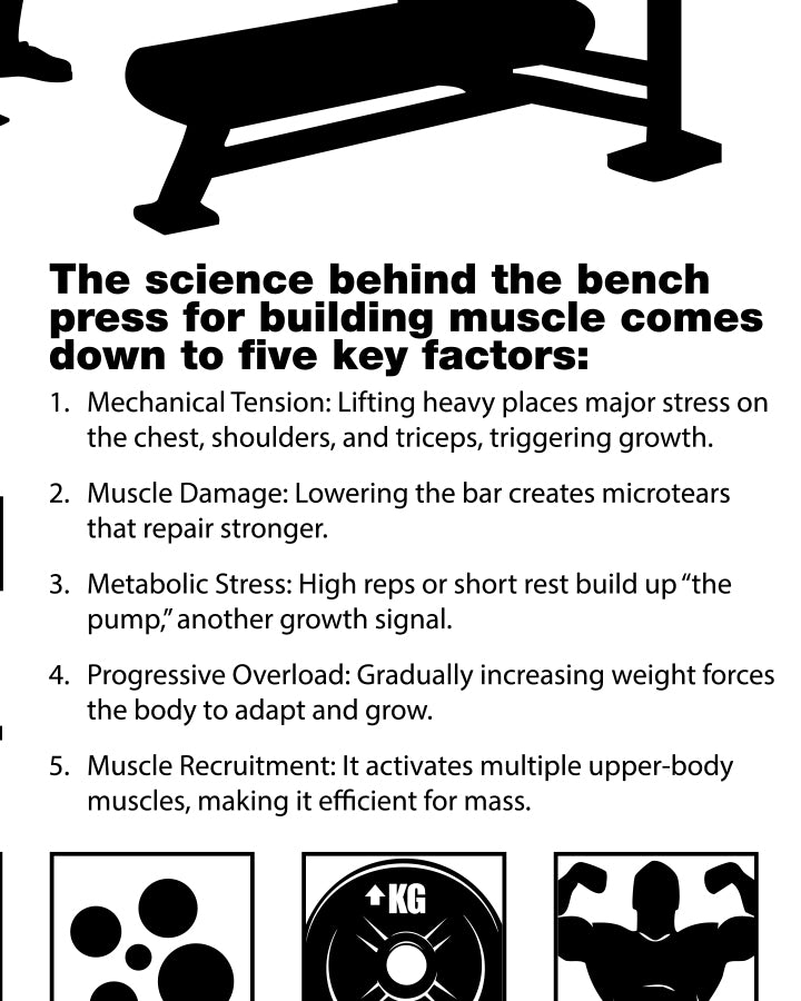 Bench Press (Sport)