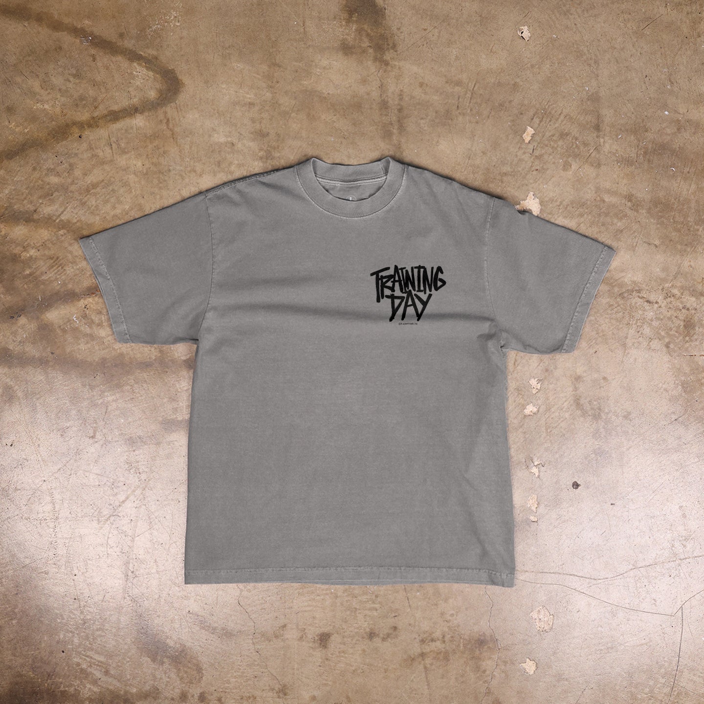 Training Day (Street)